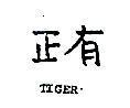 正有 TIGER 