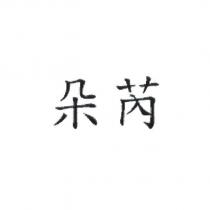 朵芮