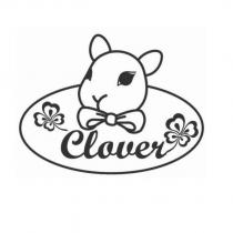 Clover 及圖