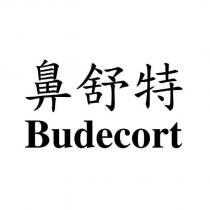 鼻舒特 Budecort