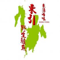 東湧海味,東引野生鱸魚