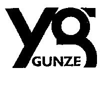 GUNZE 圖樣