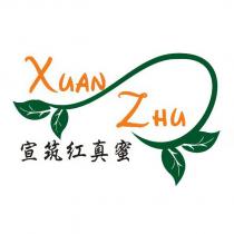 宣筑紅真蜜 XUAN ZHU 及圖