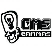 GAMMAS GMS 及圖