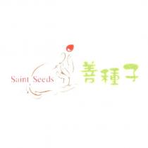 善種子及圖