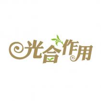 光合作用及圖