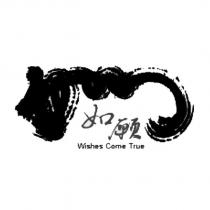 WISHES COME TRUE 如願及圖