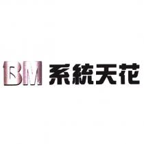 BM 系統天花