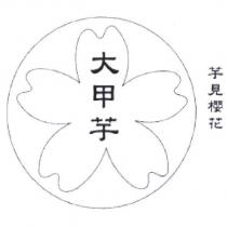 芋見櫻花 大甲芋及圖