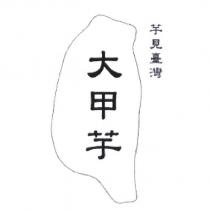 芋見臺灣 大甲芋及圖