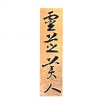 靈芝美人