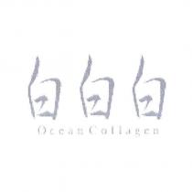 白白白 Ocean Collagen