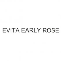 EVITA EARLY ROSE