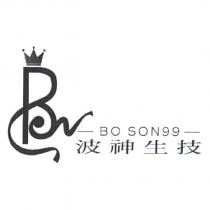 波神生技 BO SON99 設計圖