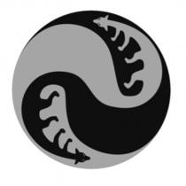狐仙太極