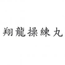 翔龍操練丸
