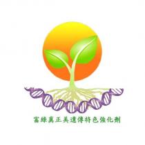 富綠真正美遺傳特色強化劑及圖