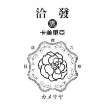 洽發 鷹 卡美里亞 及圖 カメリヤ