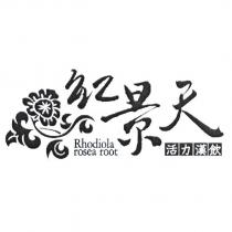 紅景天活力漢飲 Rhodiola rosea root 及圖