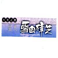 星元雪白樟芝