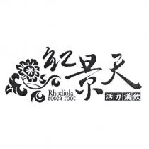 紅景天活力漢飲 Rhodiola rosea root 及圖