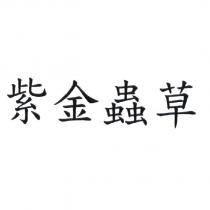 紫金蟲草
