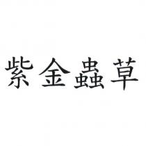 紫金蟲草