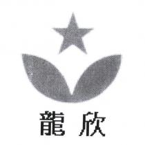 龍欣設計圖