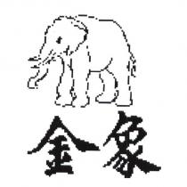 金象及圖