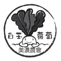 美濃農會白玉蘿蔔及圖