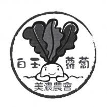 美濃農會白玉蘿蔔及圖