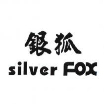 silver fox 銀狐