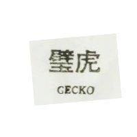 璧虎 GECKO
