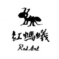 紅螞蟻 RED ANT 及圖
