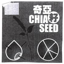 奇亞籽 CHIA SEED 及圖