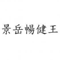 景岳暢健王