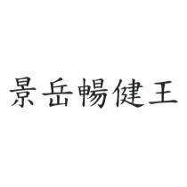 景岳暢健王