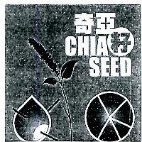 奇亞籽 CHIA SEED 及圖