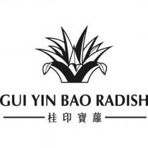 桂印寶蘿 GUI YIN BAO RADISH 及圖
