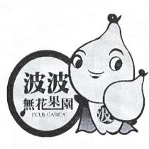 波波無花果園 FICUS CARICA 及圖