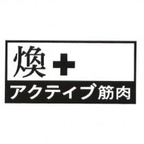 煥+筋肉及圖