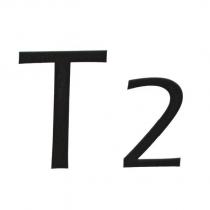 T2