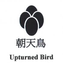 朝天鳥 Upturned Bird 及圖