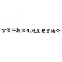 紫微斗數四化飛星雙宮論命