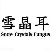 雪晶耳 Snow Crystals Fungus