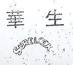 華生 SURELOCK