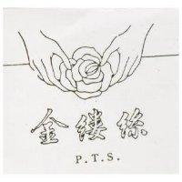 金縷絲及圖 P.T