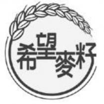 希望麥籽及圖