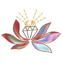 CR 及圖
