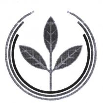 私立曉光語文文理短期補習班標章